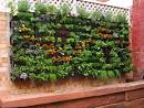 Creating a Garden in a Small House with Vertical Garden Idea ...