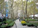 bryant_park.jpg