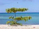 guadeloupe Calm ocean and