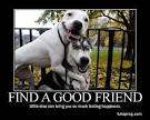 Find a Good Friend :) - Jokeroo