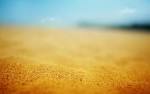 Jennie Allen Blog | Sand God