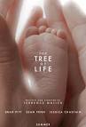 The Tree of Life is