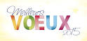 Cartes de voeux 2015 Creapixel62 - Cr��ation de sites internet, flyers