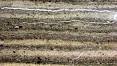 Refining Carbon Dating | The Scientist Magazine