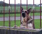 Come in; make my day!!" near to Lower Penn, Staffordshire, Great Britain - via Daymix