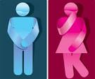 Poetic License: The Gender Wars Continue....