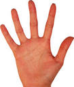 A picture of a <b>hand</b>