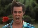 Jim Carrey's Ace Ventura