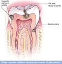 Mayo Clinic medical information and tools for healthy living ...