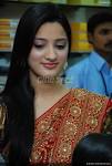 Richa Panai In Saree