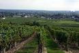 Bourgueil pronunciation