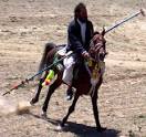 Afghan Snapshots   NYTimes