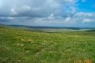 Manga Hill. The moorland grass at an altitude of 530m. - via Daymix