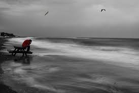 images?q=tbn:ANd9GcT_3Qss1apPgTWuSwTMOXQepFT8p7QH78uwINMXhCzR-9E9CoJQBQ