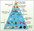 SOBRE <b>TRASTORNOS</b> ALIMENTACIÓN