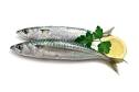 anchois pronunciation