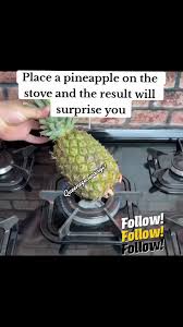 Image result for pineapple recipesurl?q=https://www.tiktok.com/@thevixennn