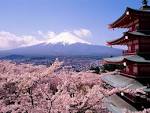 fuji