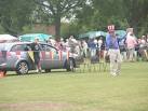 SU7006 : Independence Day-Bedhampton Style (2) - via Daymix