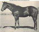 war_admiral.jpg