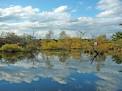 Five Rivers Environmental Education Center - NYS Dept. of ...