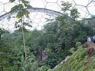 Humid Tropics Biome - via Daymix