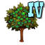 qh orchard4.png?w=64