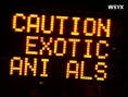 CNN-exotic-animals-warning- ...