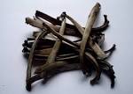 File:Rib Bone Divination Tools.jpg - Wikimedia Commons