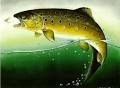 Fishing Scotland   Learn to Fly Fish