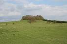 SK8806 : Lax Hill near Egleton - via Daymix