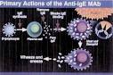 Anti-IgE Treatment - National Jewish Health
