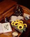 Cultivated plant taxonomy - Wikipedia, the free encyclopedia