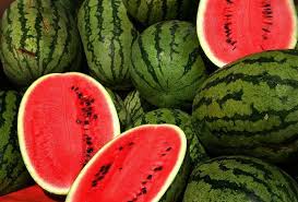 http://t2.gstatic.com/images?q=tbn:ANd9GcTaW1apid2utBiIurl7eDBRWxzFp10QdnZ182A7D1Z9QcwJE0Bh