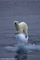 Global Warming Effect