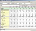 BUDGETing Software For Family or Individual
