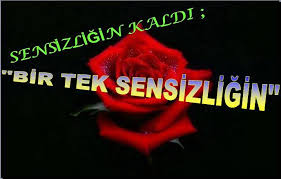 images?qtbnANd9GcTarAWEBKNm CVmSo5Z5gw9NwGSz2JWMMJPjLuCSnZ8MEYJJ5JI
