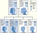 alpha <b>thalassemia</b> major or