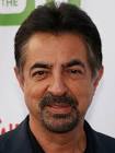 Joe Mantegna - Zap2it
