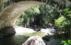Paluma and Crystal Creek Rainforest - Townsville - Bewertungen und ...