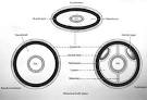 Natural History Collections: Evolution of the Minor Phyla