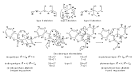 science24.com - Reaction Mechanism and Chemotaxonomy in the ...