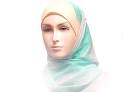 راجع صور السيدة العذراء هل