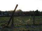 The late winter sun is catching the wool caught on the wire; the village of - via Daymix