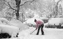 Cool spring after chilly winter will see delayed flowers - Telegraph