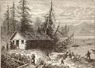 Virginia Colony