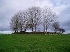 wooden posts interlaced - via Daymix