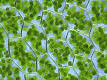 Astrobiology - Wikipedia, the free encyclopedia
