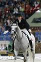 Welcome to the North American Danish Warmblood Association — North ...