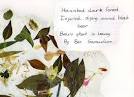 Hi Haiku! Nice to Meet You!! « The Rankin-File Writing Blog